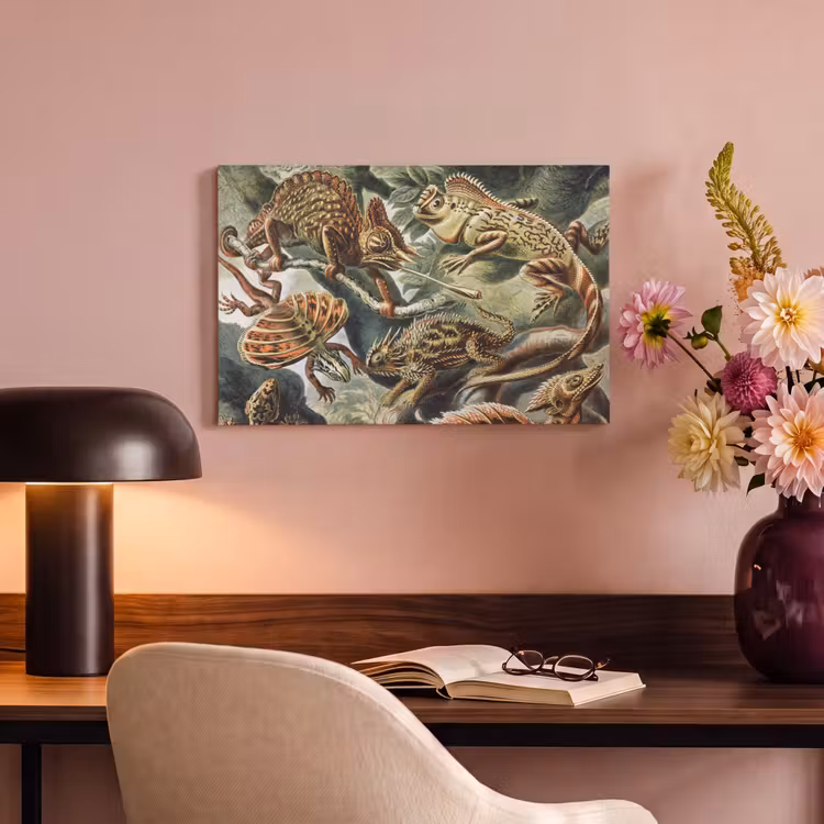 Canvas schilderij - Vintage - Kunst - Ernst Haeckel - Salamanders - Dieren — 4