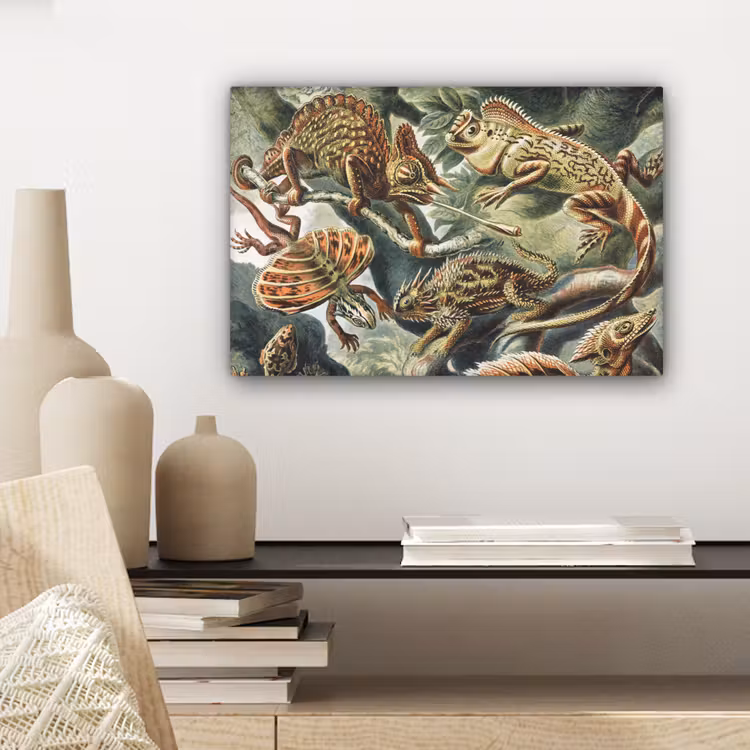Canvas schilderij - Vintage - Kunst - Ernst Haeckel - Salamanders - Dieren — 5