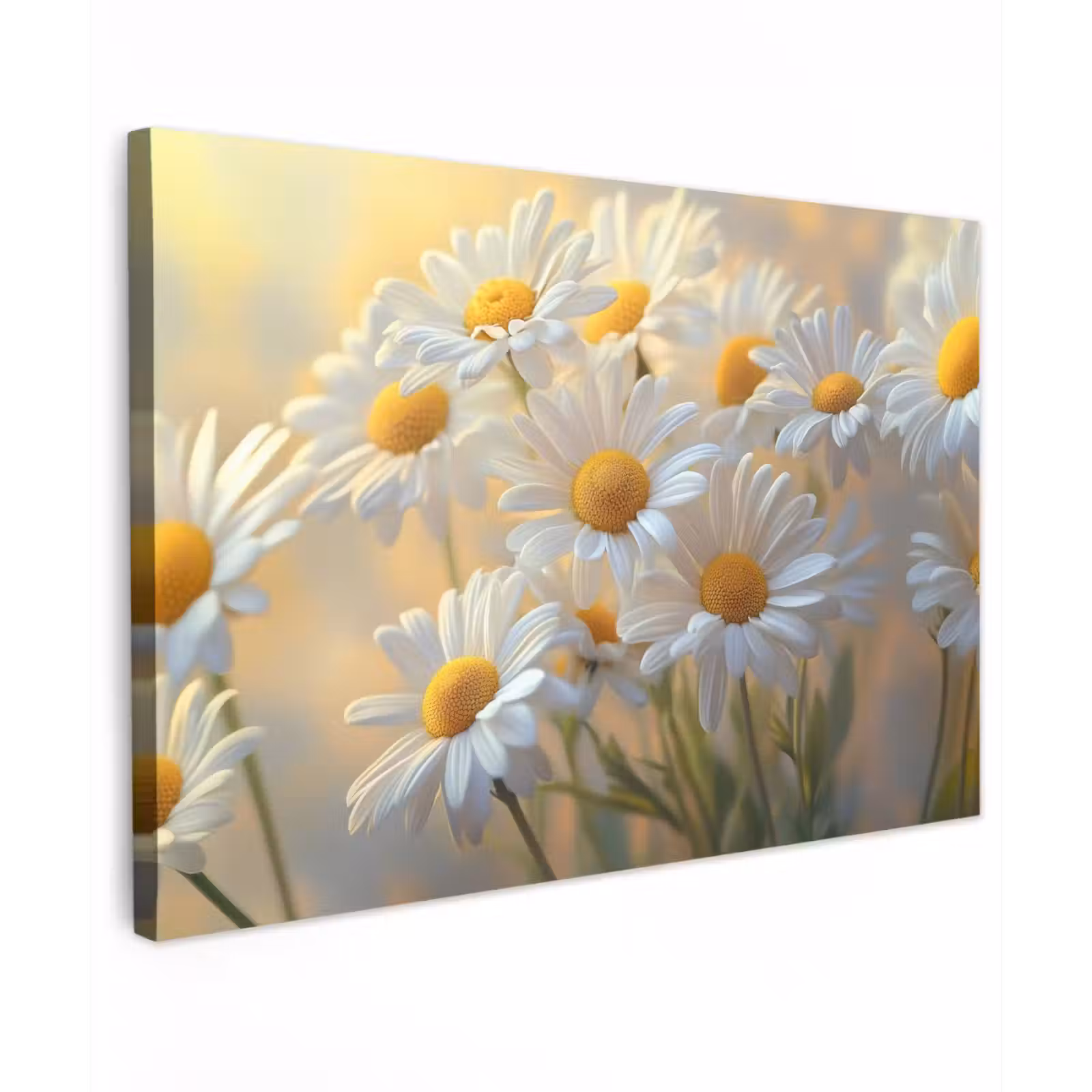 Canvas schilderij - Madeliefjes - Wit - Zonlicht — 1