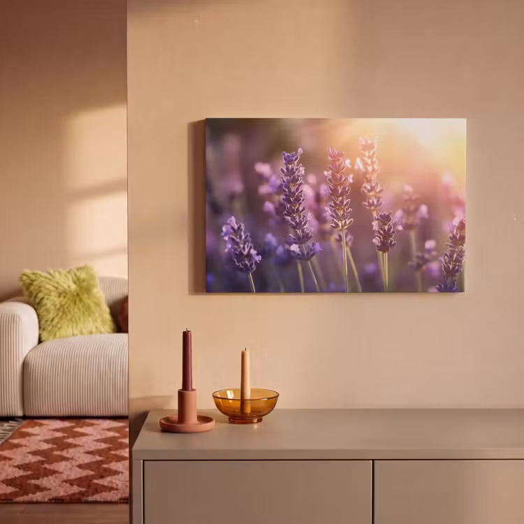 Canvas schilderij - Lavendelbloemen - Paars - Zonlicht — 2