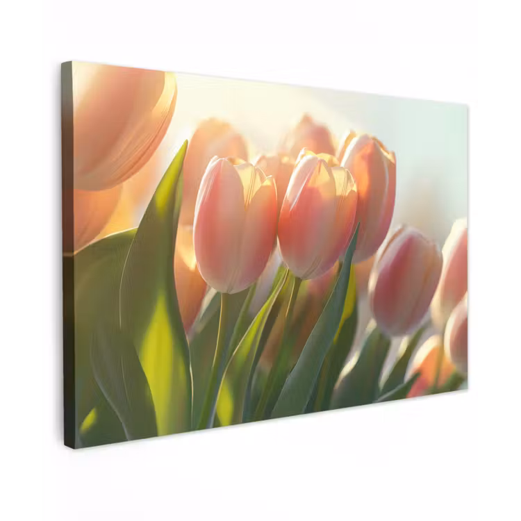 Canvas schilderij - Tulpen - Roze - Zonnestralen — 1