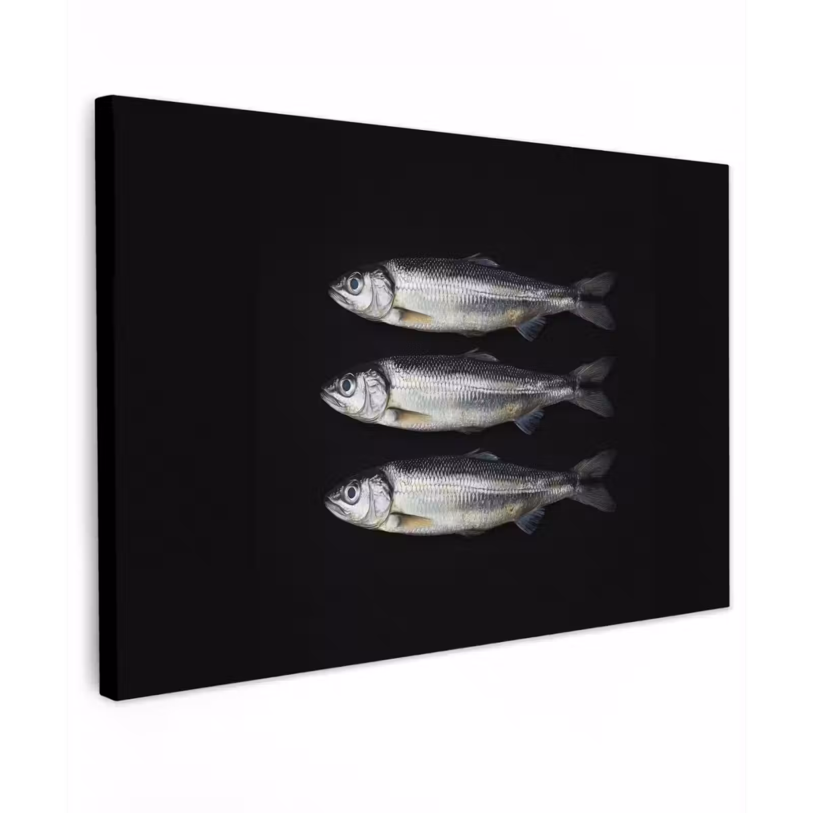 Canvas schilderij - Haring - Vissen - Zwart — 1