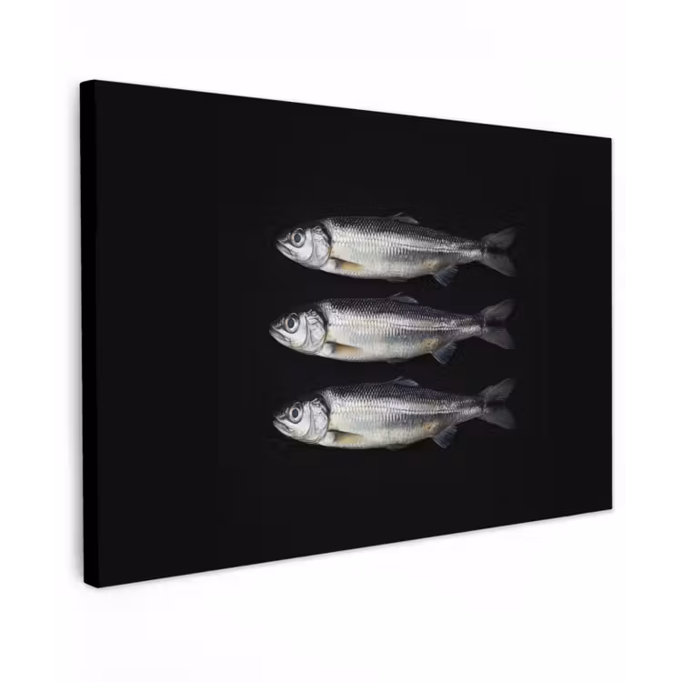 Canvas schilderij - Haring - Vissen - Zwart — 1