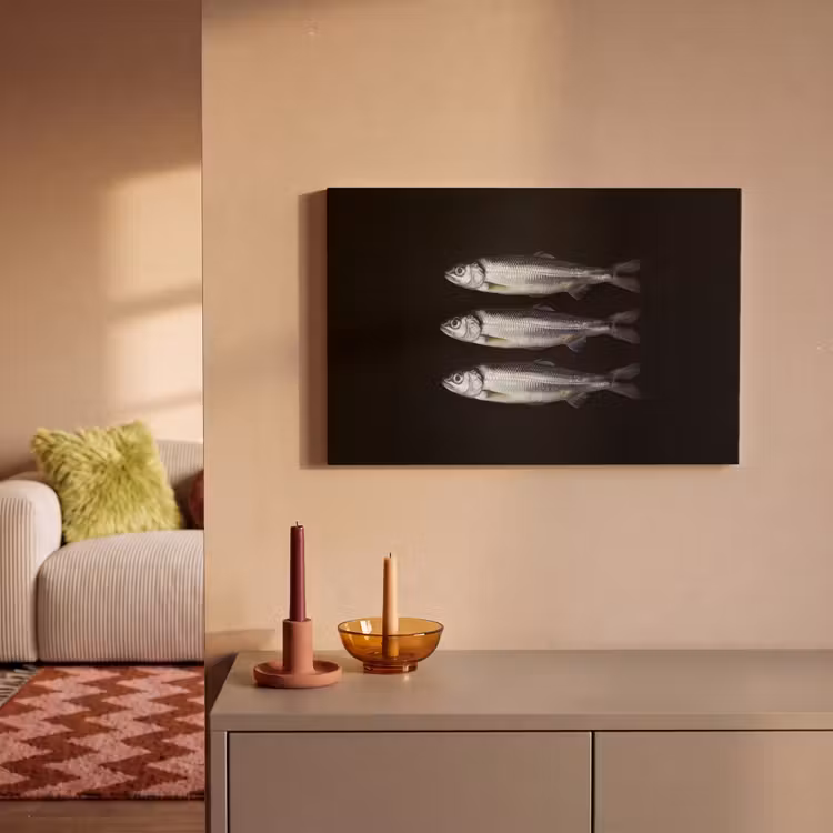 Canvas schilderij - Haring - Vissen - Zwart — 2