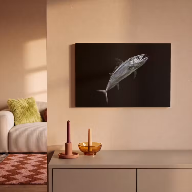Canvas schilderij - Makreel - Vis - Zwart — 2
