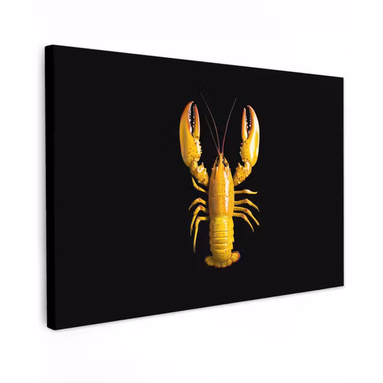 Canvas schilderij - Kreeft - Geel - Stippen - Effen — 1