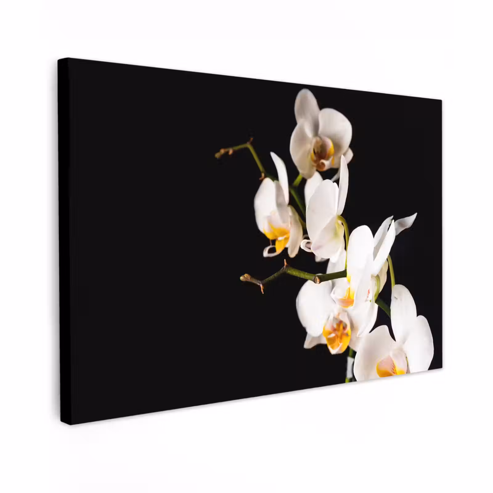 Canvas schilderij - Orchidee - Bloemen - Planten - Botanisch — 1