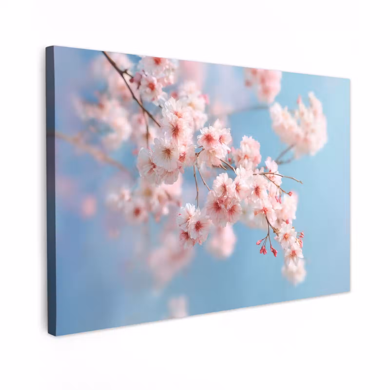 Canvas schilderij - Takken - Bloesems - Roze — 1