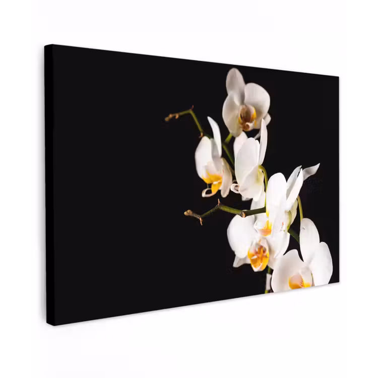 Canvas schilderij - Orchidee - Bloemen - Planten - Botanisch — 1