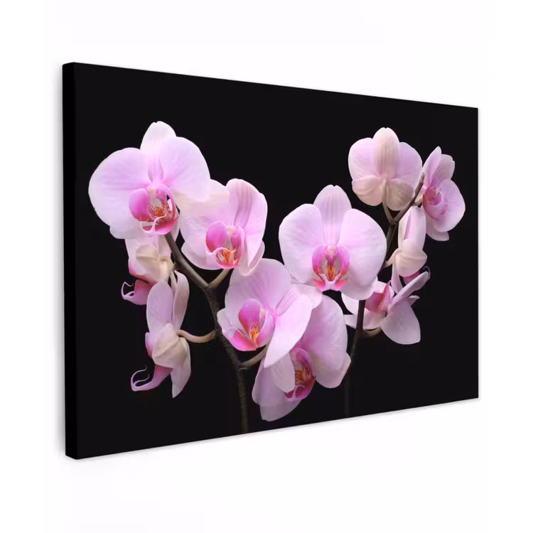 Canvas schilderij - Orchidee - Bloemen - Roze - Flora — 1