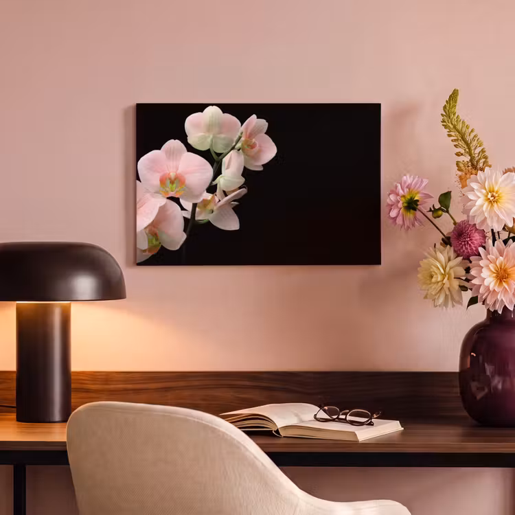 Canvas schilderij - Orchidee - Bloemen - Roze - Stilleven - Flora — 4
