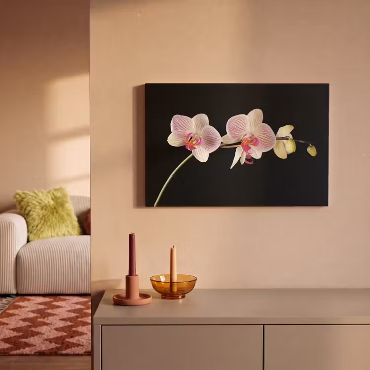 Canvas schilderij - Orchidee - Bloemen - Zwart - Roze - Knoppen — 2