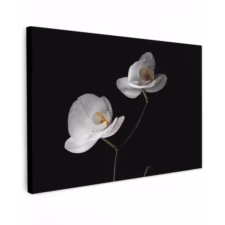 Canvas schilderij - Orchidee - Bloemen - Zwart - Wit - Stilleven — 1