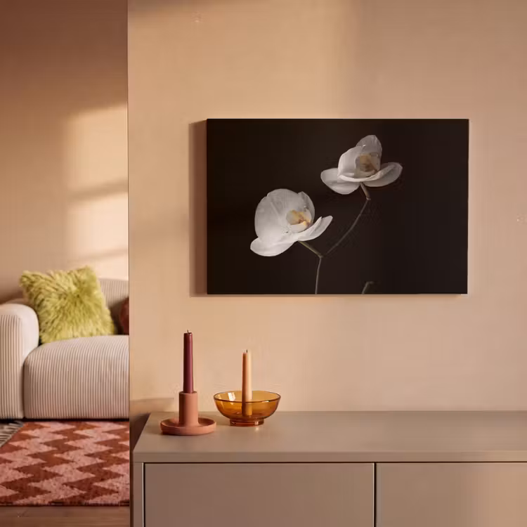 Canvas schilderij - Orchidee - Bloemen - Zwart - Wit - Stilleven — 2