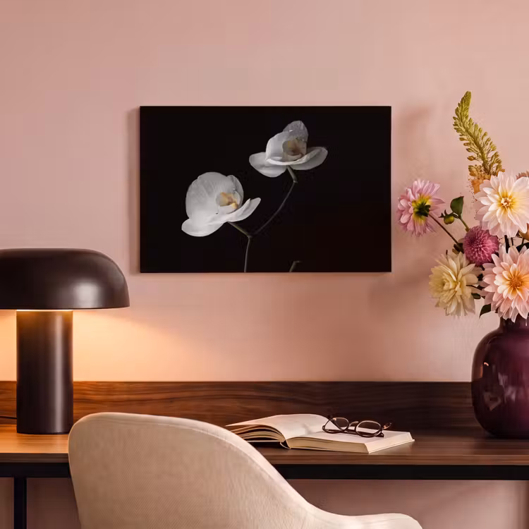 Canvas schilderij - Orchidee - Bloemen - Zwart - Wit - Stilleven — 4