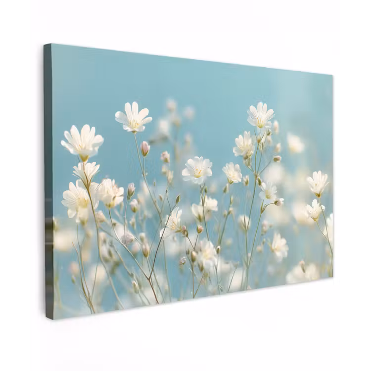 Canvas schilderij - Stengels - Bloemen - Lucht - Wit — 1