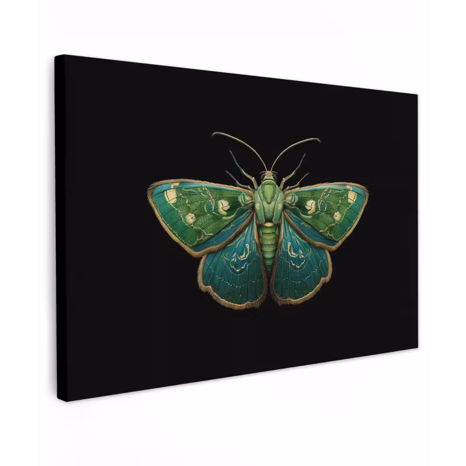 Canvas schilderij - Mot - Levendig - Groen — 1
