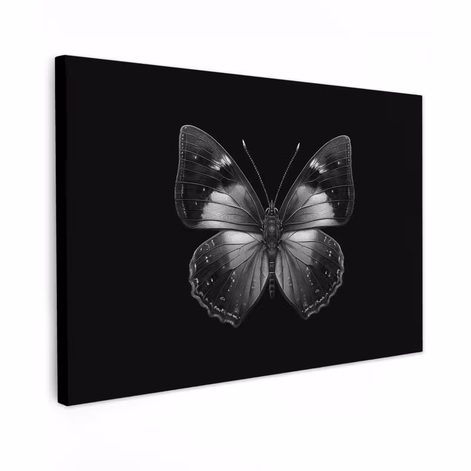 Canvas schilderij - Vlinder - Grijs - Mysterieus — 1