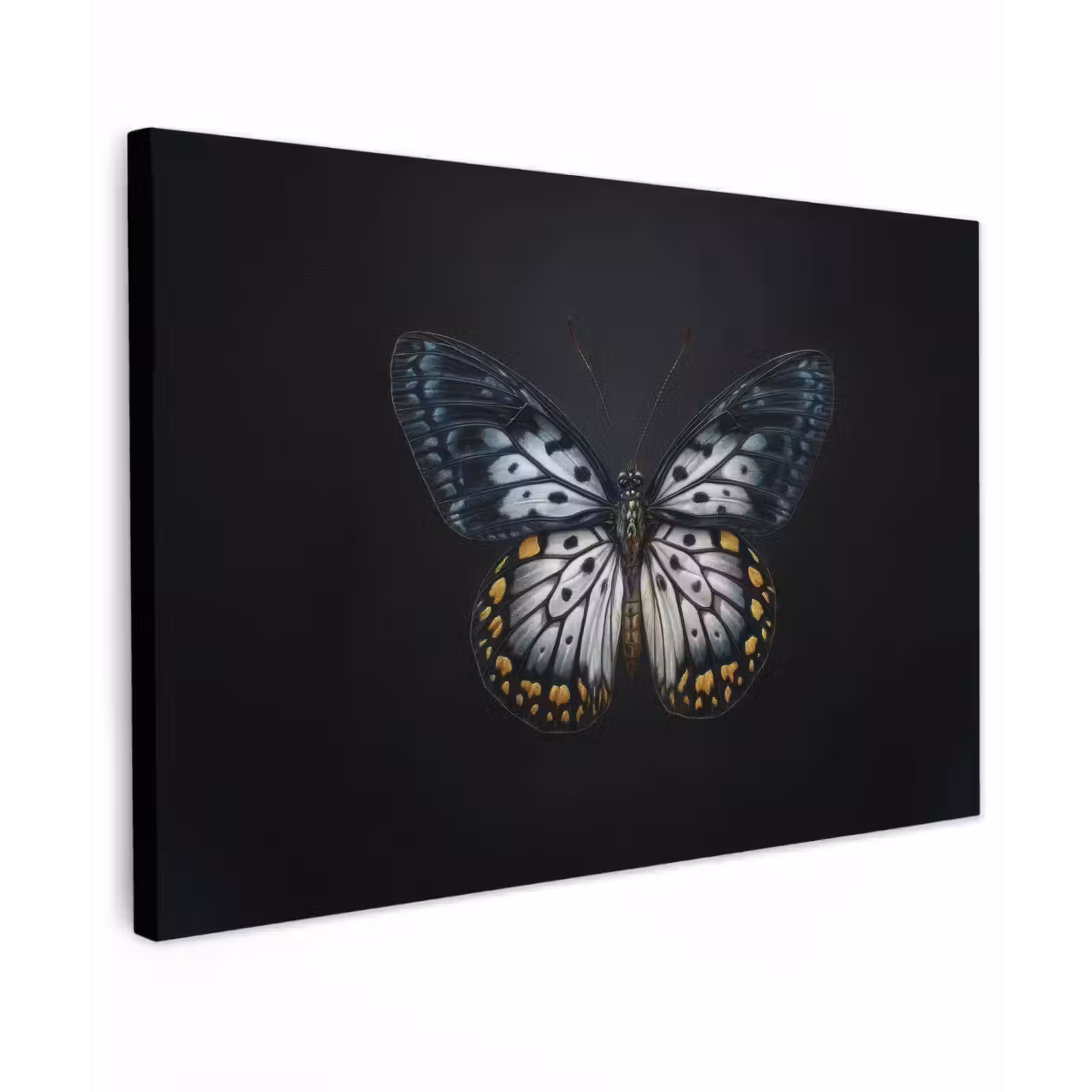 Canvas schilderij - Vlinder - Monochroom - Balans — 1