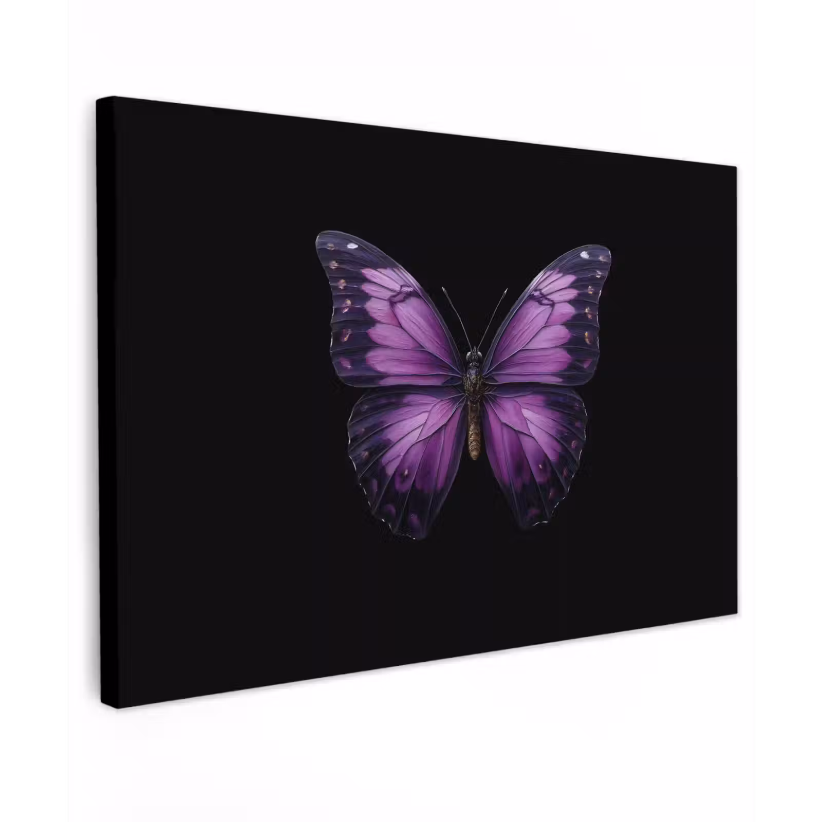 Canvas schilderij - Vlinder - Paars - Levendig — 1