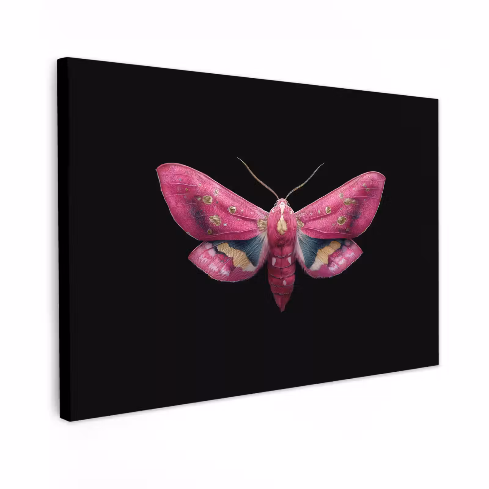 Canvas schilderij - Vlinder - Roze - Nachtvlinder — 1