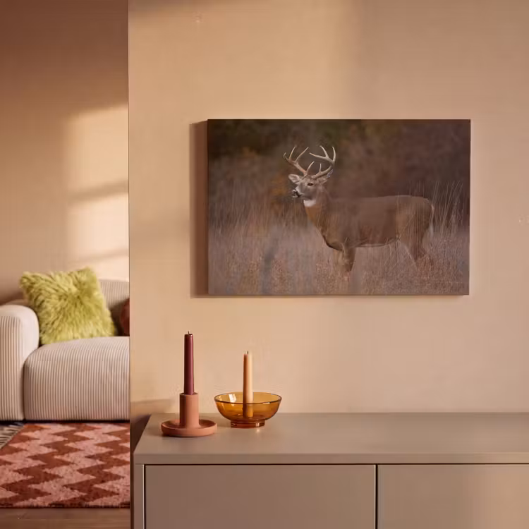 Canvas schilderij - Herfst - Hert - Gras - Natuur - Dieren — 2