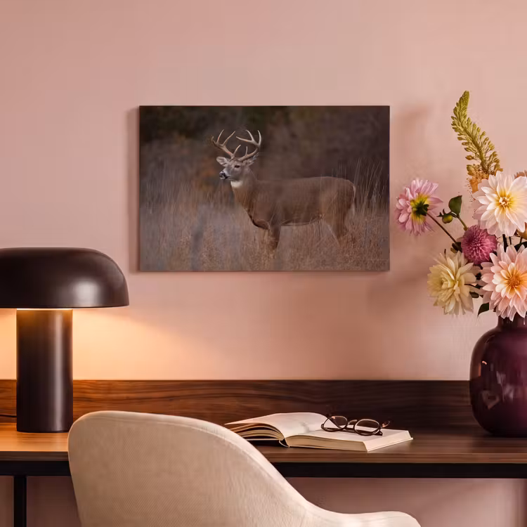 Canvas schilderij - Herfst - Hert - Gras - Natuur - Dieren — 4