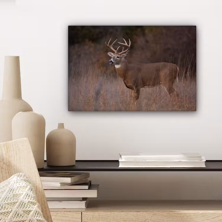 Canvas schilderij - Herfst - Hert - Gras - Natuur - Dieren — 5