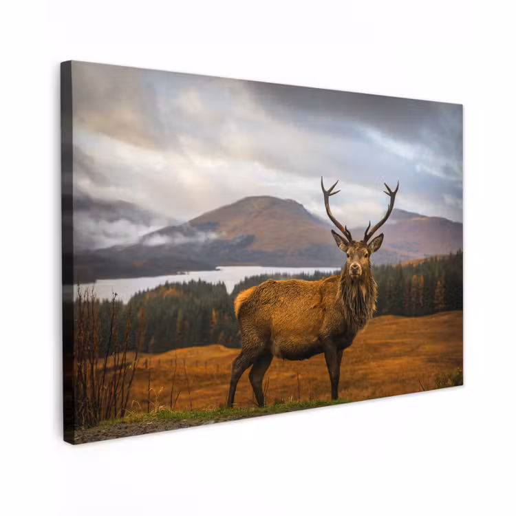 Canvas schilderij - Hert - Berg - Water - Landschap - Dieren - Bomen — 1