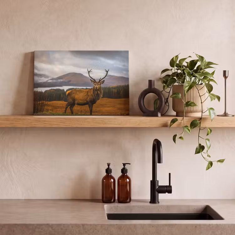 Canvas schilderij - Hert - Berg - Water - Landschap - Dieren - Bomen — 3