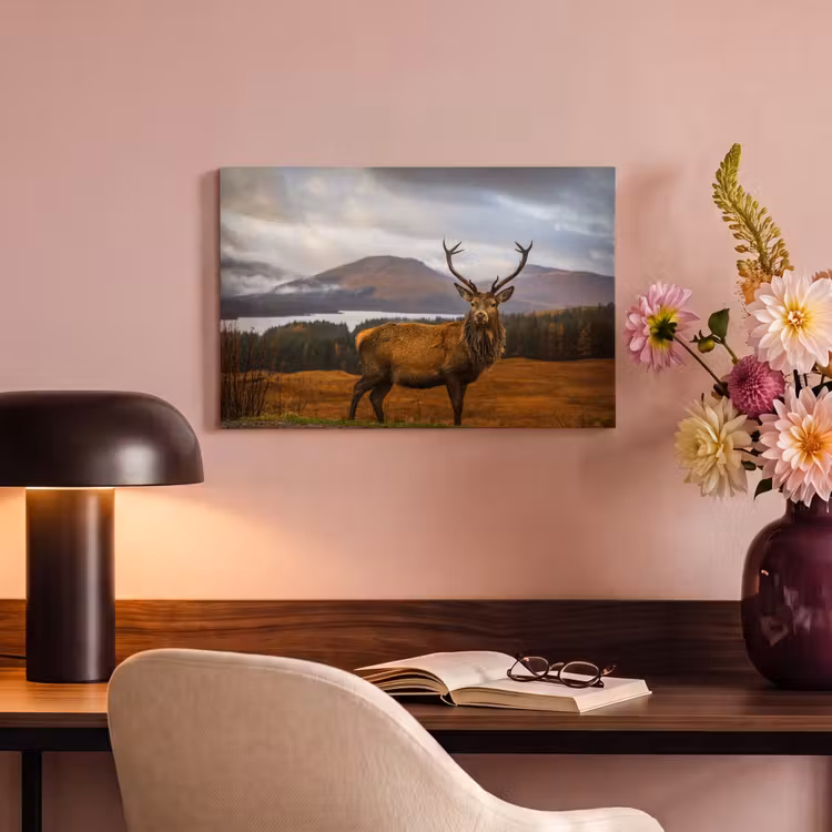 Canvas schilderij - Hert - Berg - Water - Landschap - Dieren - Bomen — 4