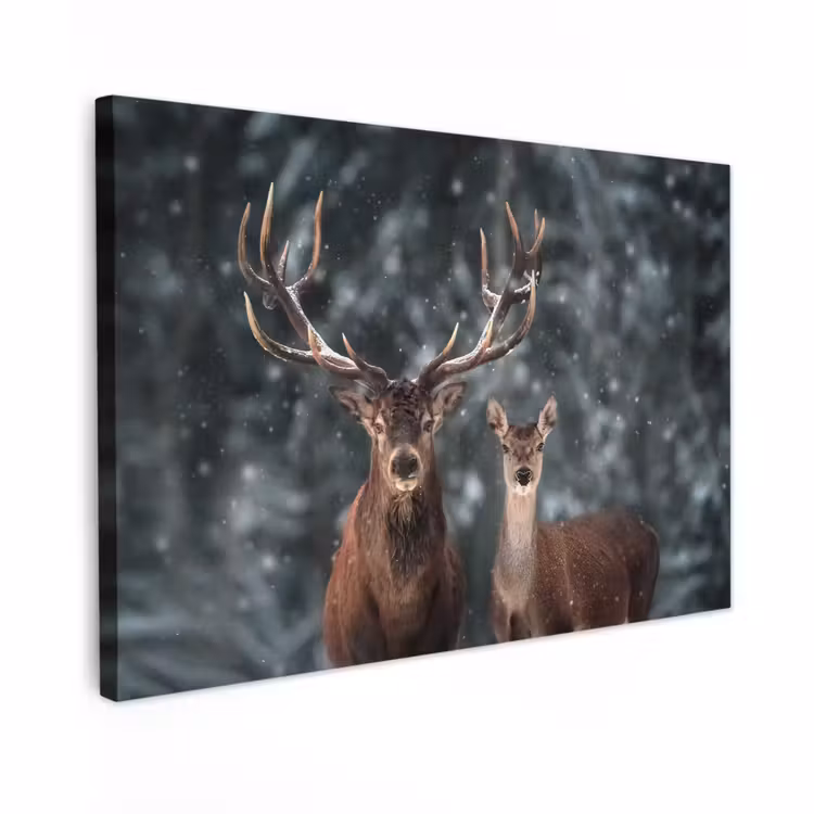 Canvas schilderij - Hert - Dieren - Winter - Gewei - Sneeuw - Natuur — 1