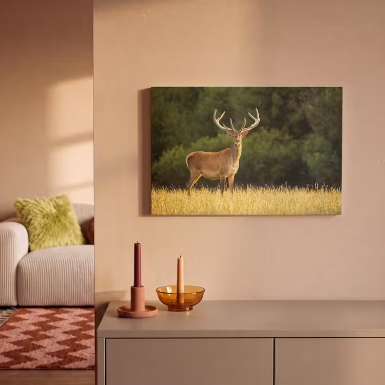 Canvas schilderij - Hert - Gewei - Gras - Natuur - Dieren - Groen — 2