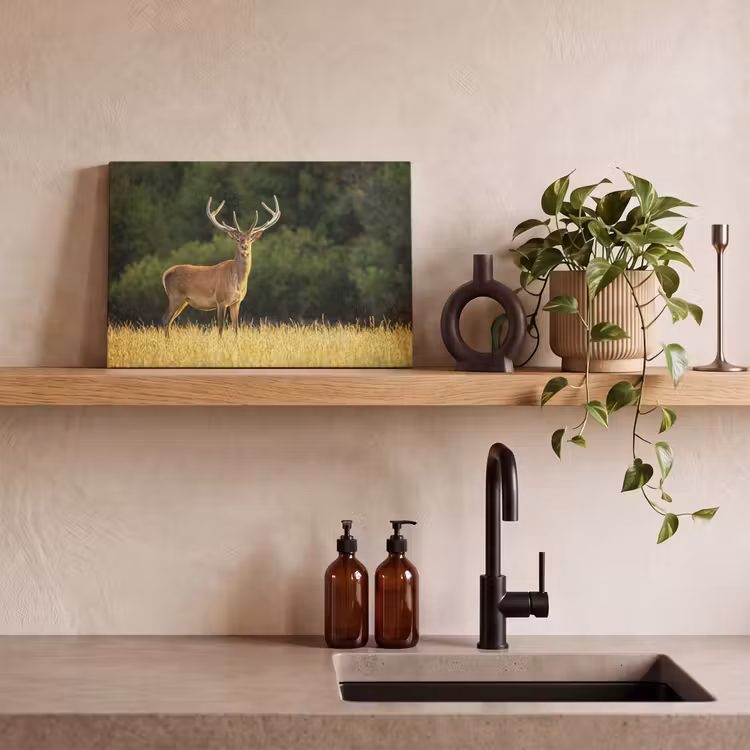 Canvas schilderij - Hert - Gewei - Gras - Natuur - Dieren - Groen — 3