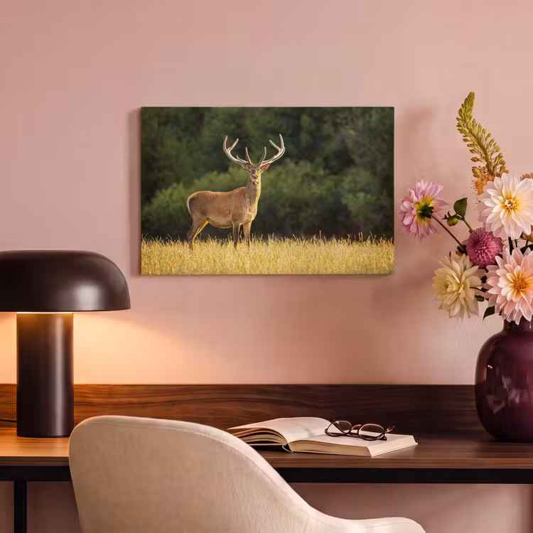 Canvas schilderij - Hert - Gewei - Gras - Natuur - Dieren - Groen — 4