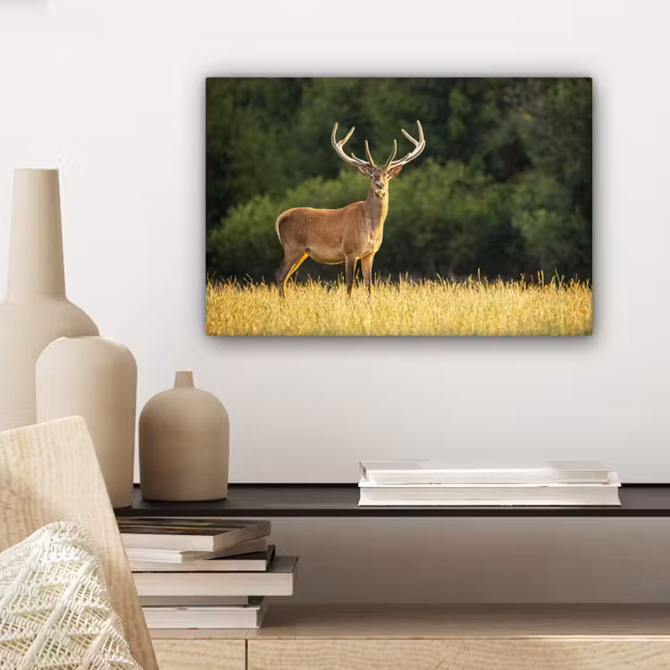 Canvas schilderij - Hert - Gewei - Gras - Natuur - Dieren - Groen — 5