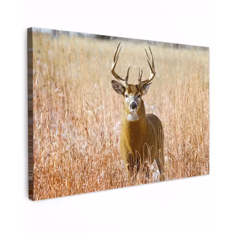 Canvas schilderij - Hert - Gras - Herfst - Dieren - Natuur - Gewei — 1