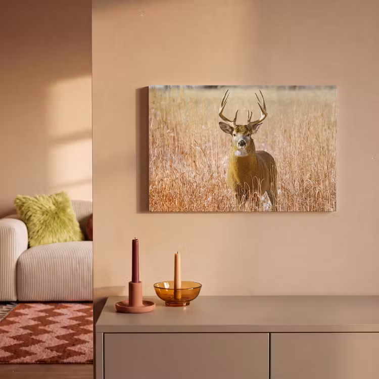Canvas schilderij - Hert - Gras - Herfst - Dieren - Natuur - Gewei — 2