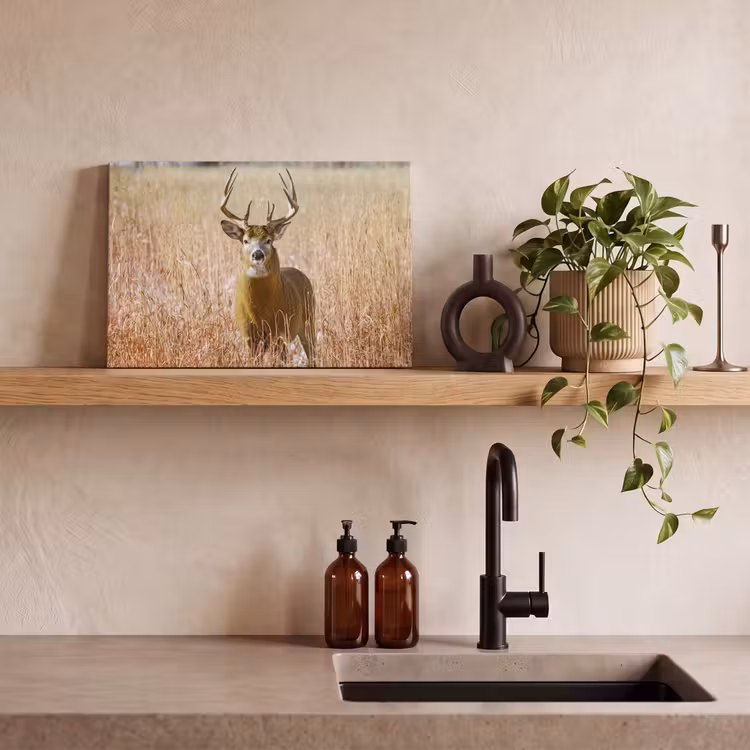 Canvas schilderij - Hert - Gras - Herfst - Dieren - Natuur - Gewei — 3
