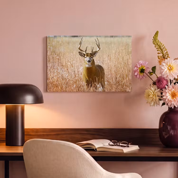 Canvas schilderij - Hert - Gras - Herfst - Dieren - Natuur - Gewei — 4