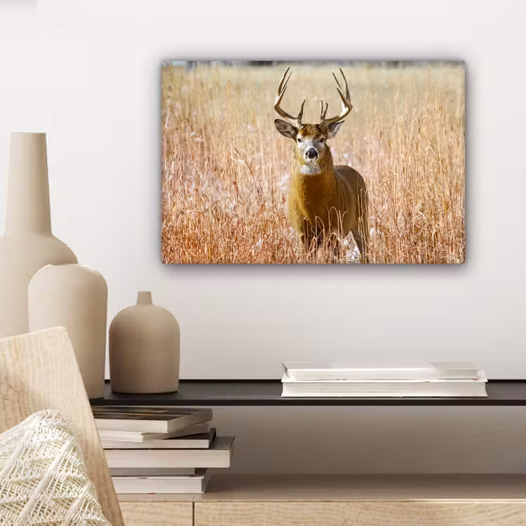 Canvas schilderij - Hert - Gras - Herfst - Dieren - Natuur - Gewei — 5