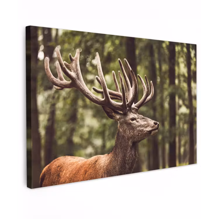 Canvas schilderij - Hert - Natuur - Gewei - Bos - Dieren — 1