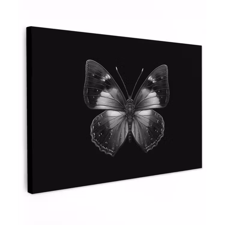 Canvas schilderij - Vlinder - Grijs - Mysterieus — 1
