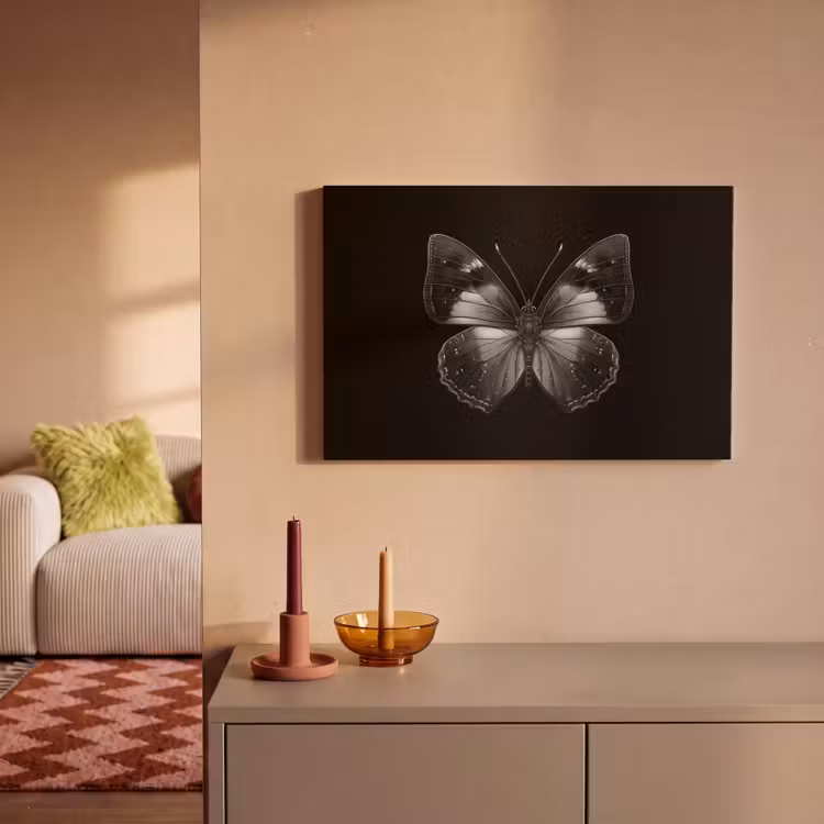Canvas schilderij - Vlinder - Grijs - Mysterieus — 2