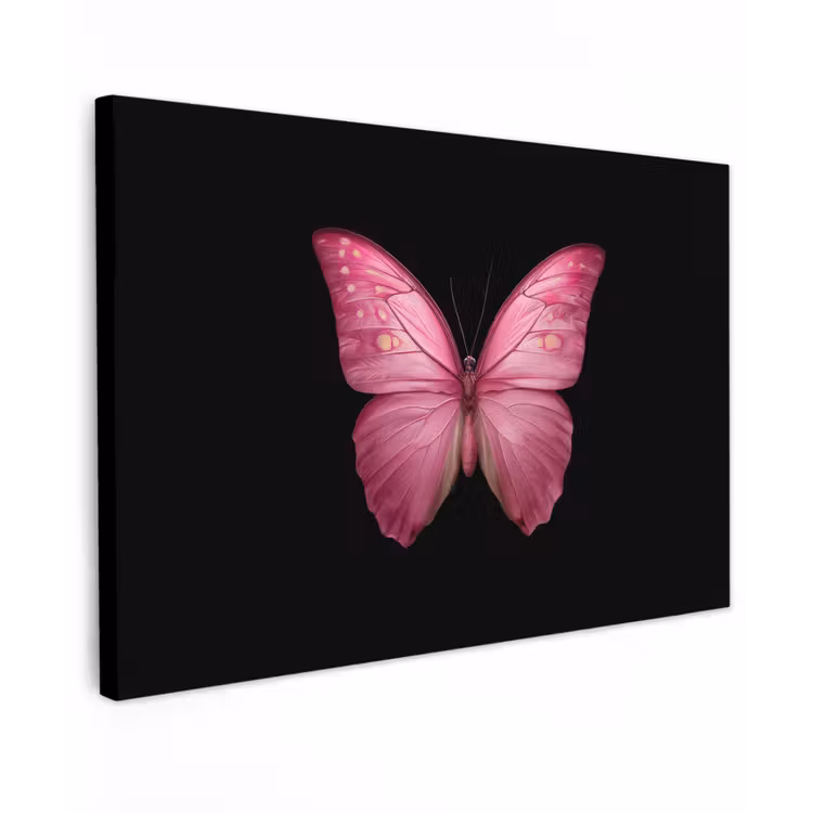 Canvas schilderij - Vlinder - roze - Elegant — 1