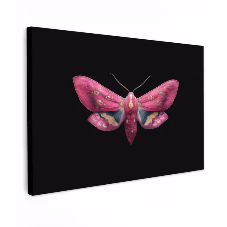 Canvas schilderij - Vlinder - Roze - Nachtvlinder — 1