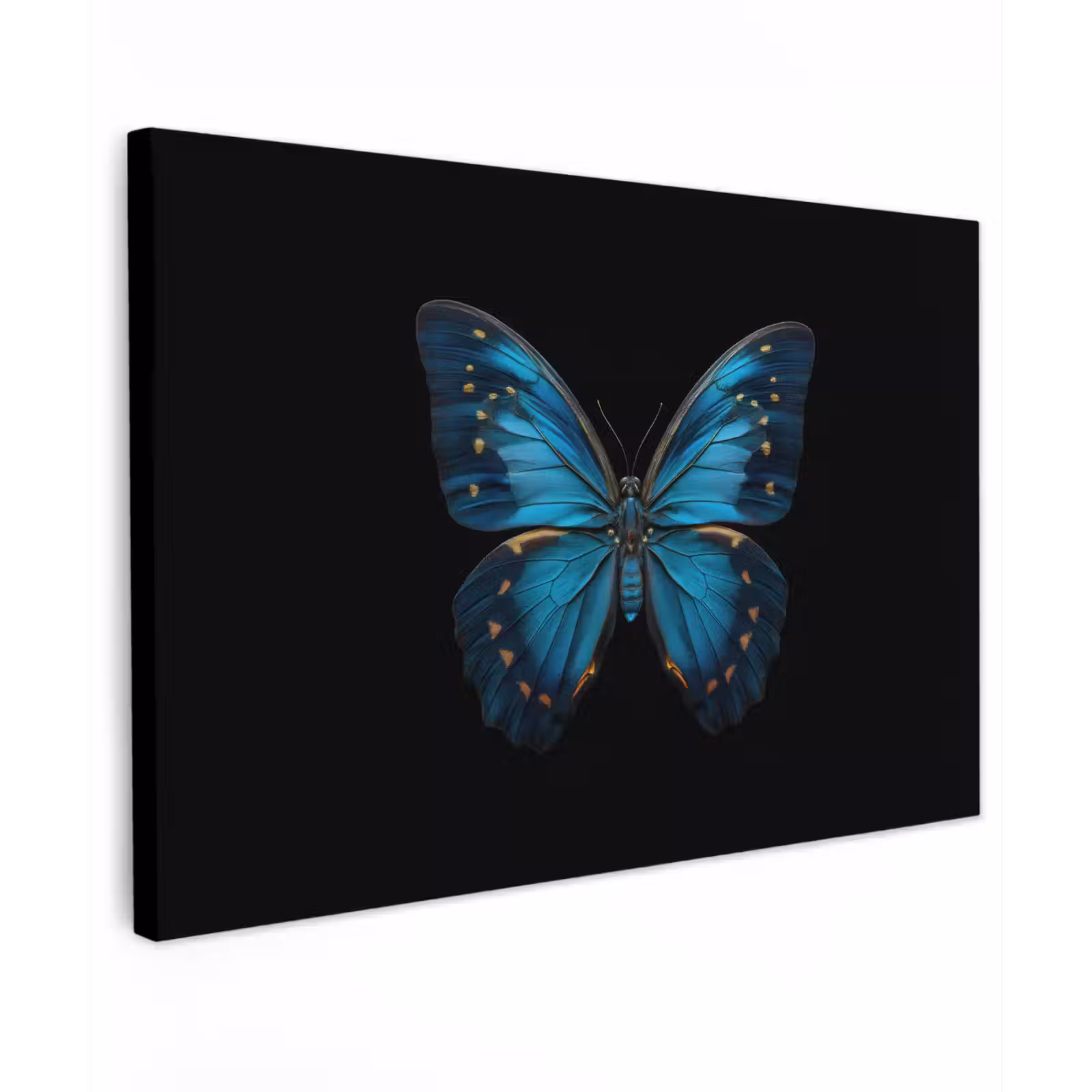 Canvas schilderij - Vlinder - Blauw - Contrast — 1