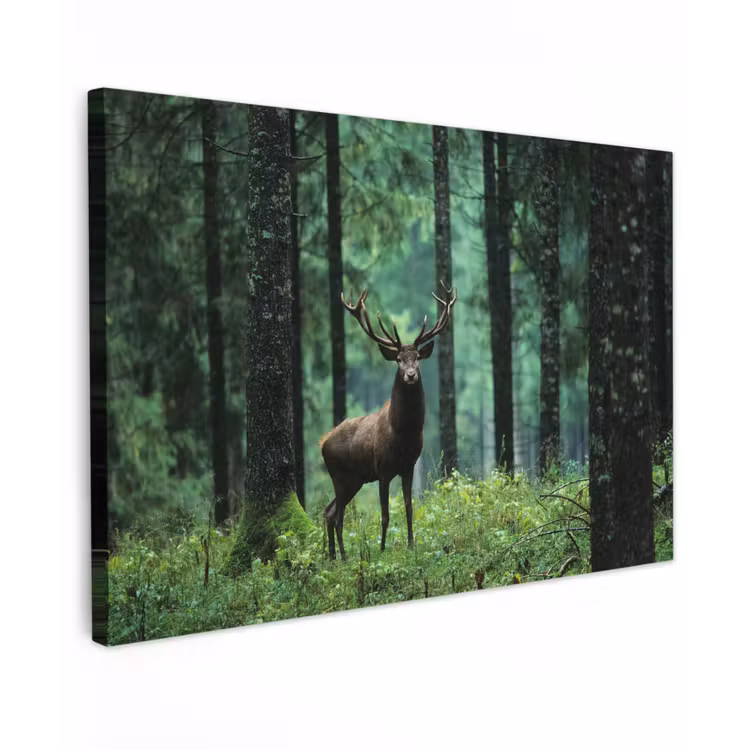 Canvas schilderij - Hert - Bos - Bomen - Dieren - Natuur — 1