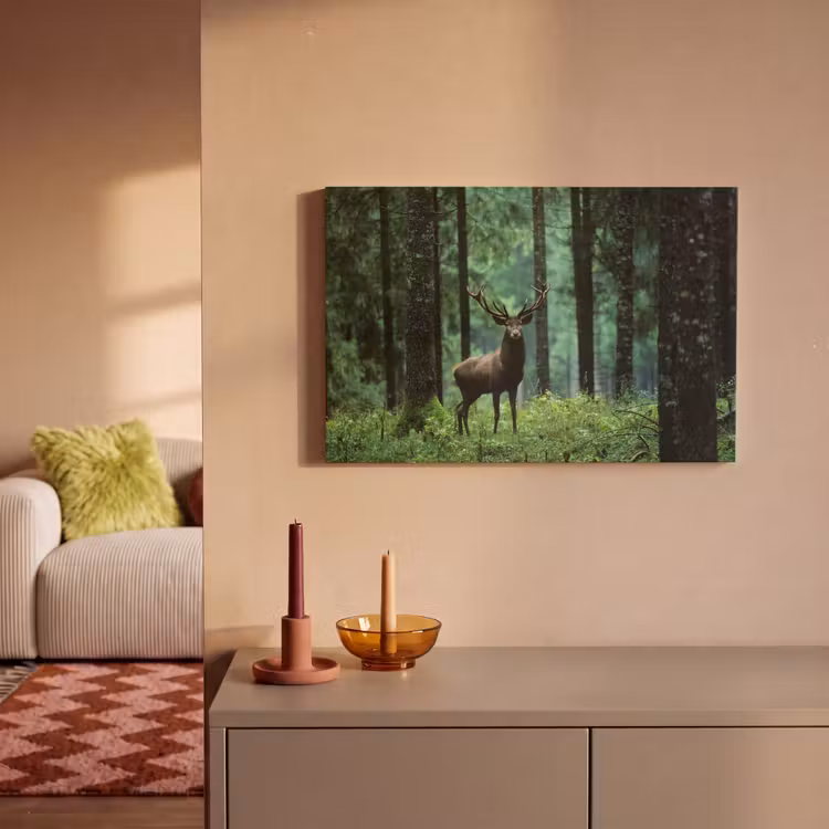 Canvas schilderij - Hert - Bos - Bomen - Dieren - Natuur — 2