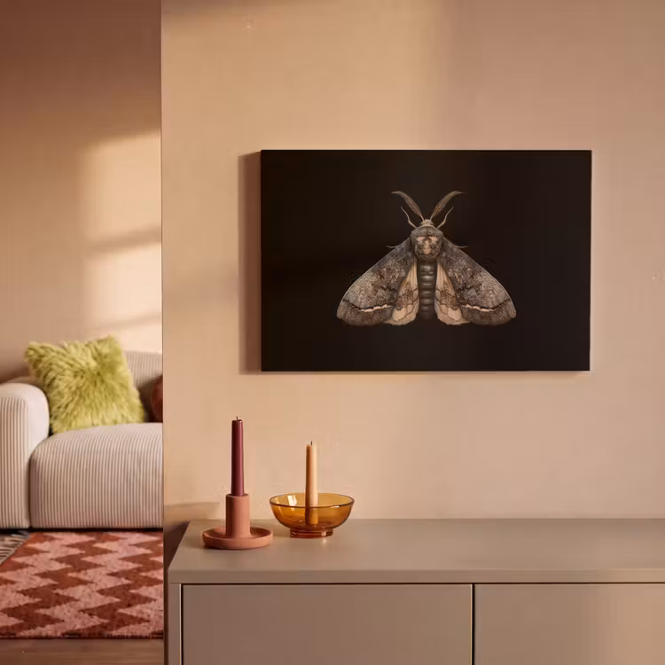 Canvas schilderij - Mot - Bladachtig - Grijs — 2